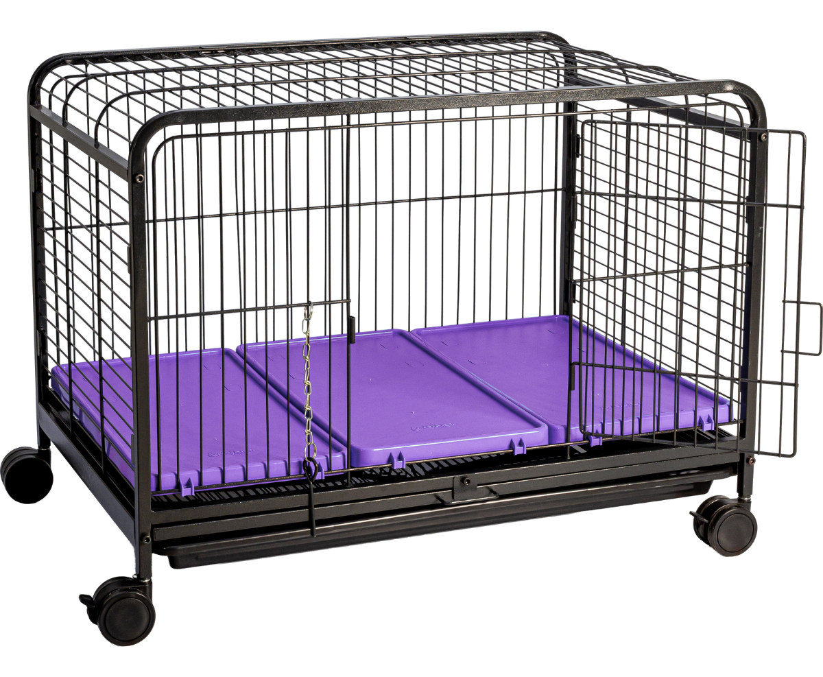 Leva Pet Grande 1