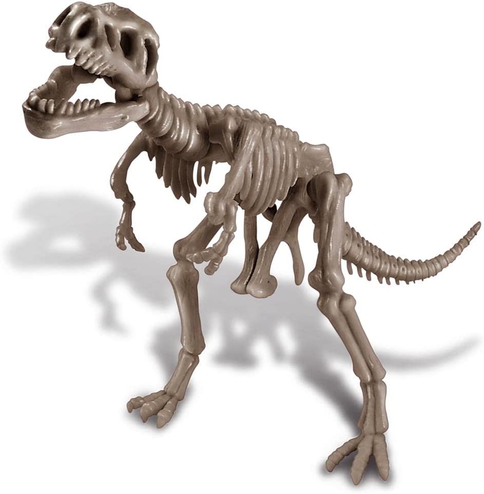 Dig a Dinosaur T-Rex Skeleton 2