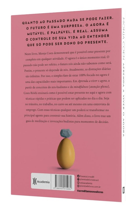 Aprenda a Viver o Agora 2