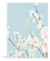 null Bíblia de Estudo para Toda Mulher NVT com Notas e Devocionais 1