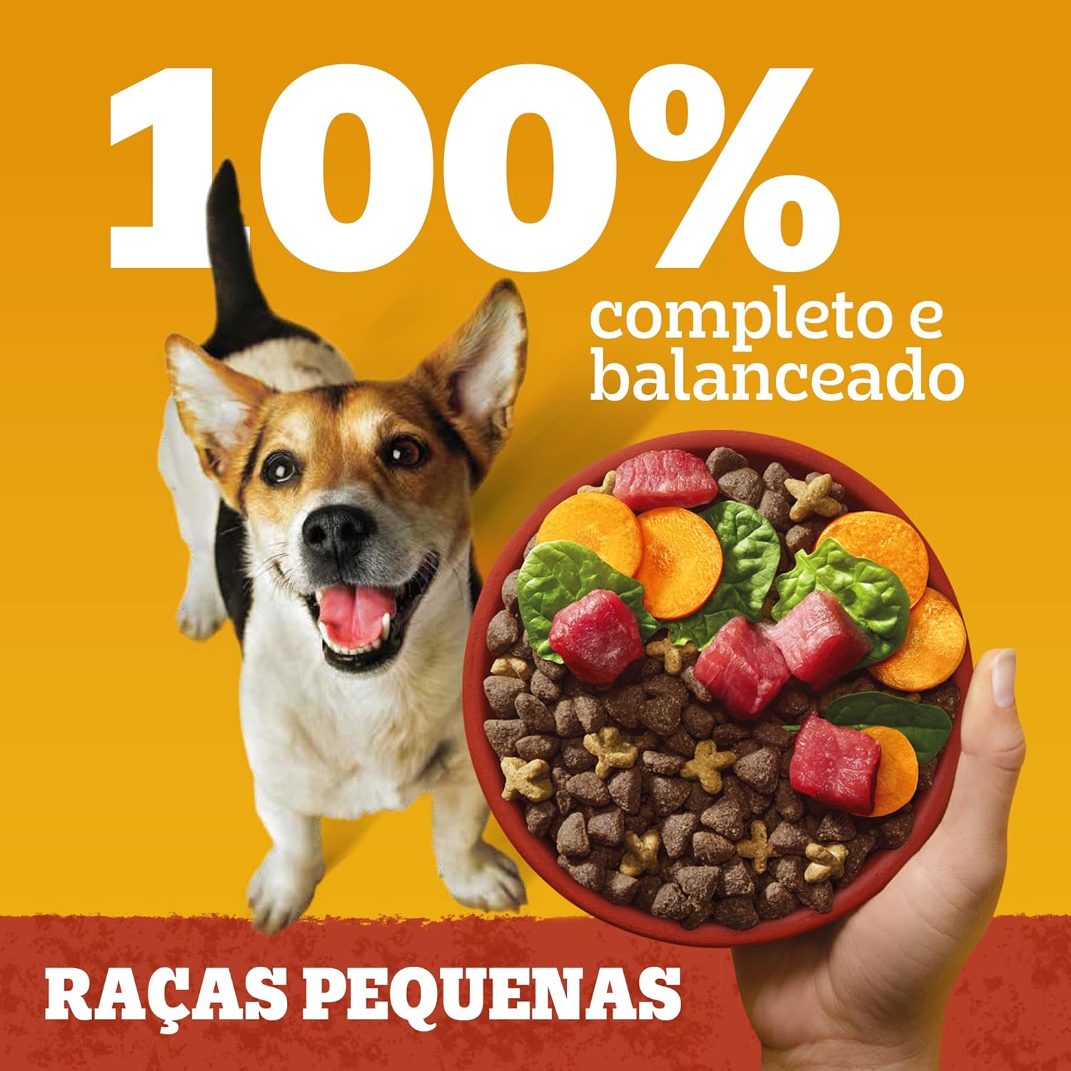 PEDIGREE Ração Seca Adulto Raças Pequenas Sabor Carne e Vegetais 4