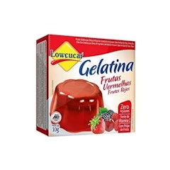 Gelatina Lowçucar Zero Açúcares Sabor Frutas Vermelhas