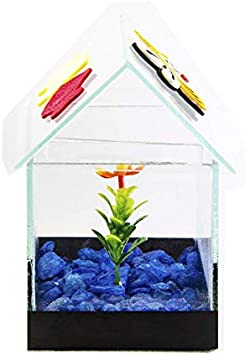 Aquário Beteira Design para Peixes Casinha Decorada 1