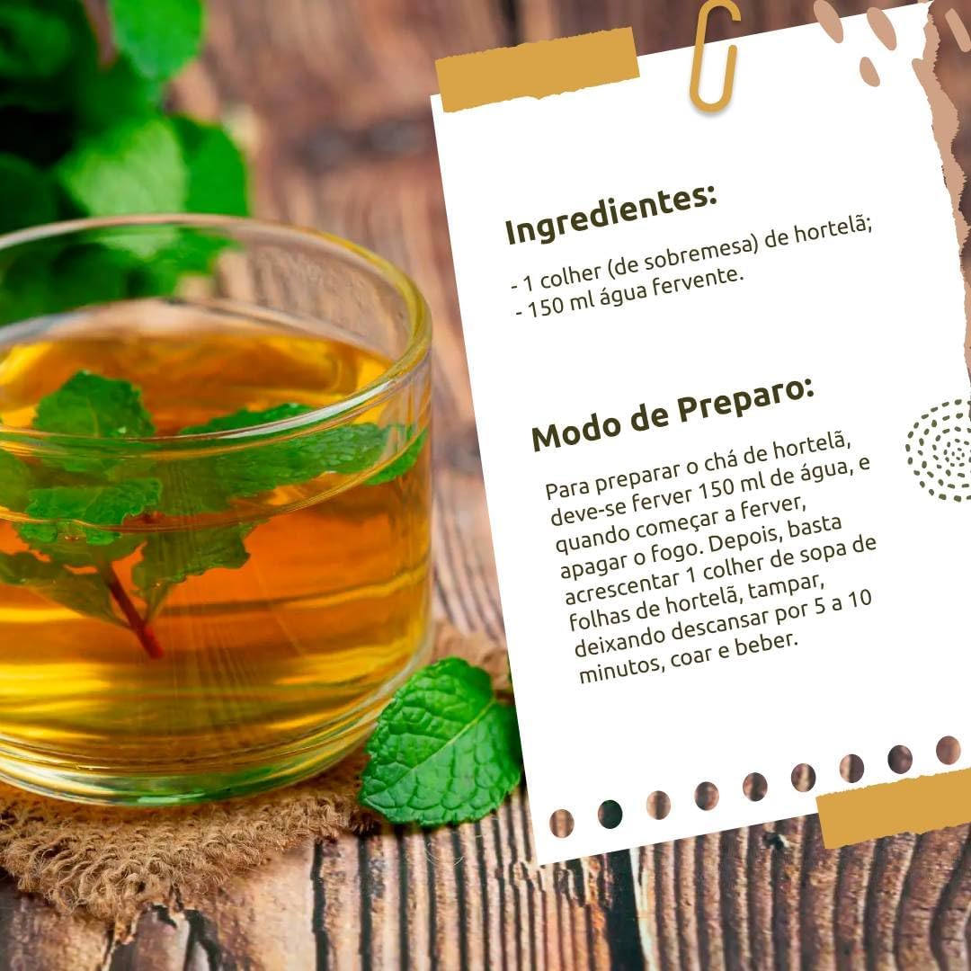 Chá de Hortelã Gourmet Tea Brasil 5