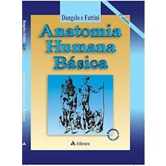 Anatomia Humana Básica