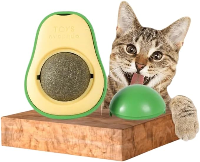 Top 10 Melhores Brinquedos de Gato  (Ratinho, Laser e mais) 2