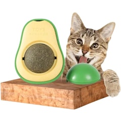 Abacate de Brinquedo para Gatos