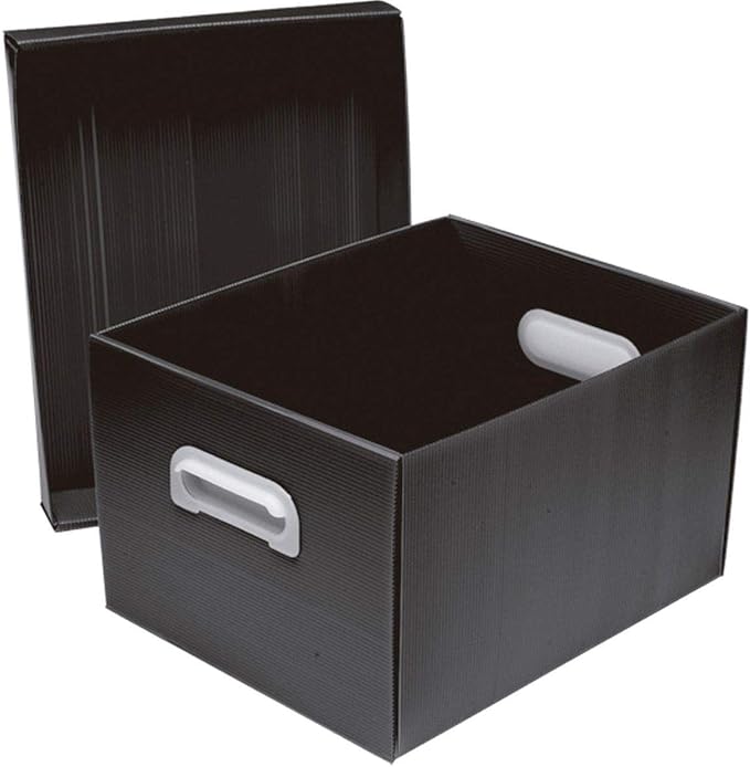 Caixa Organizadora Média The Best Box 2