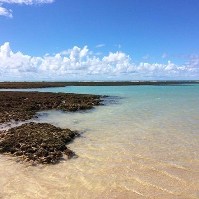 Top 10 Melhores Praias do Nordeste em 2026 (Maragogi, Porto Seguro e mais) 1
