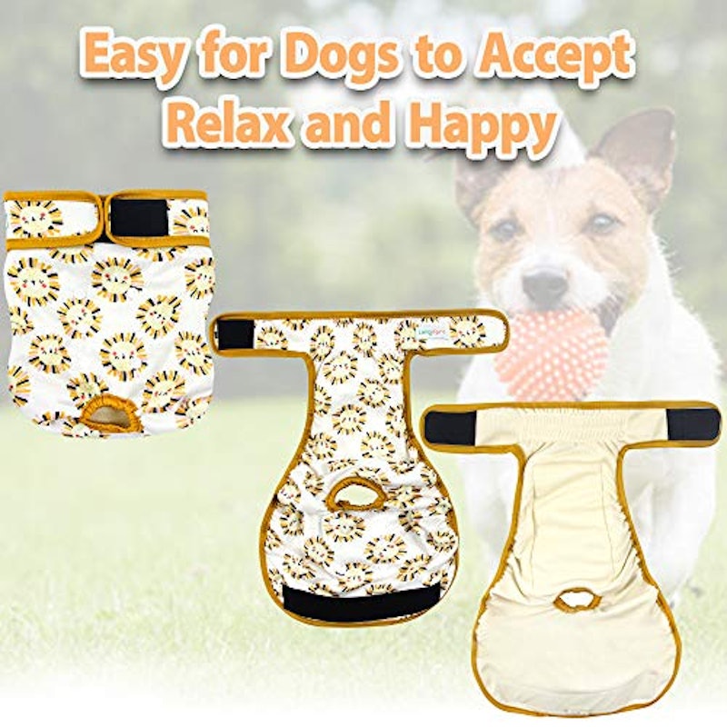 Fraldas Laváveis para Cães Fêmeas 6