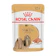 ROYAL CANIN Alimento Úmido Shih Tzu 1
