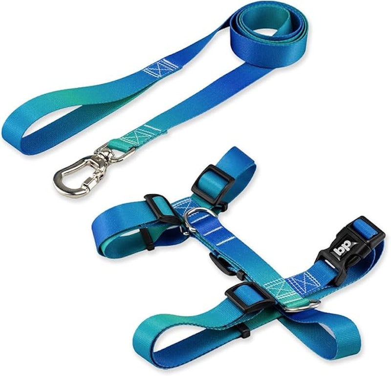 Kit para Cachorros Guia Basic + Peitoral H Lake 1