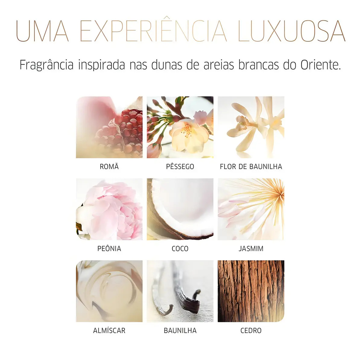 Oil Reflections Luminous Reveal - Shampoo 3
