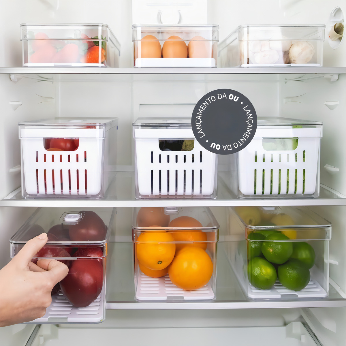 Kit 4 Organizador de Geladeira com Tampa Ou 2,8 L Linha Clear Fresh 4
