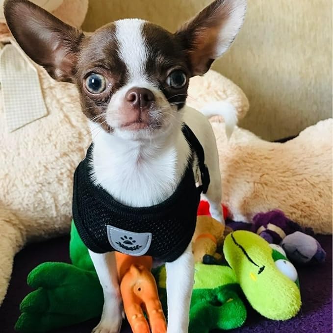 Coleira Peitoral Antipuxão com Guia para Cães e Gatos  5