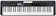 CASIO Teclado Casiotone CT-S300 1