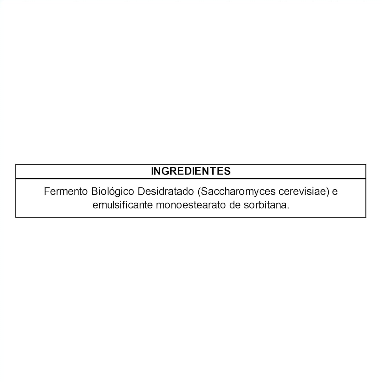 Fermento Biológico Seco Instantâneo  2