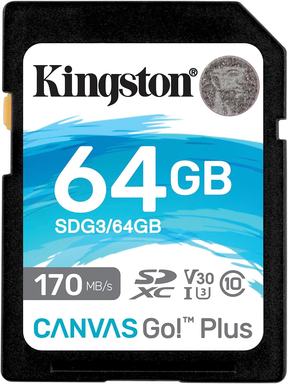 Cartão SD Kingston Canvas Go! Plus 1