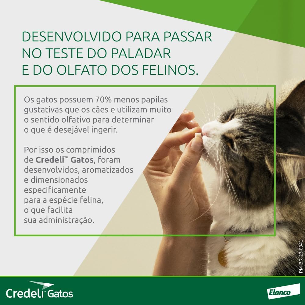 Credeli Gatos 4