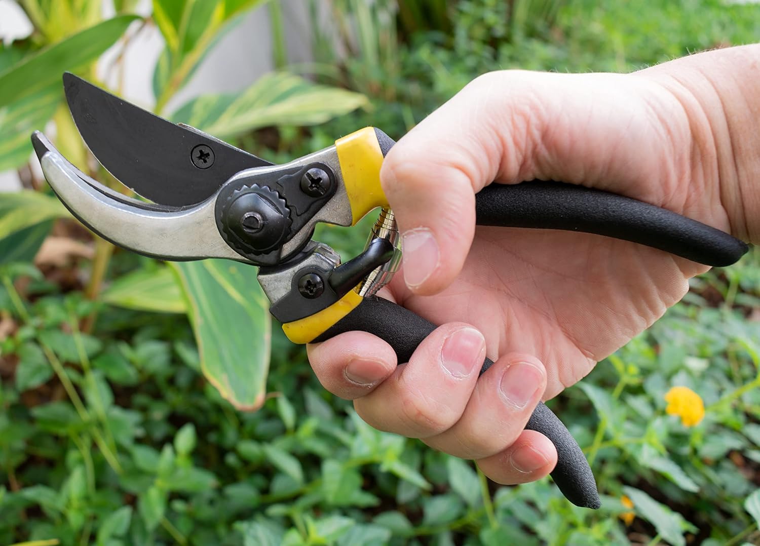Tesoura de Poda Profissional 8" 3