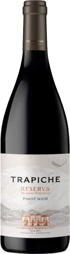 Melhores Vinhos Pinot Noir em 2026 (Chileno, Francês e mais) 1