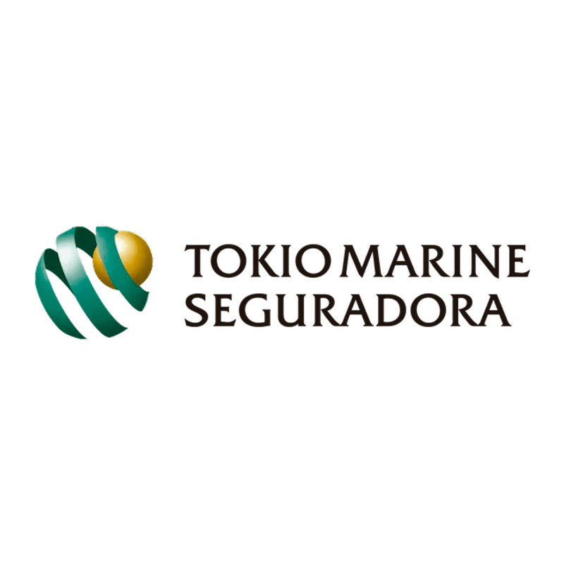 Tokio Marine Seguro Auto 1