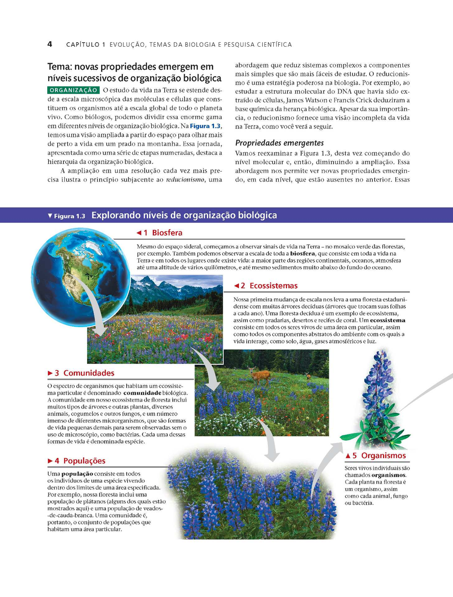 Biologia de Campbell  4