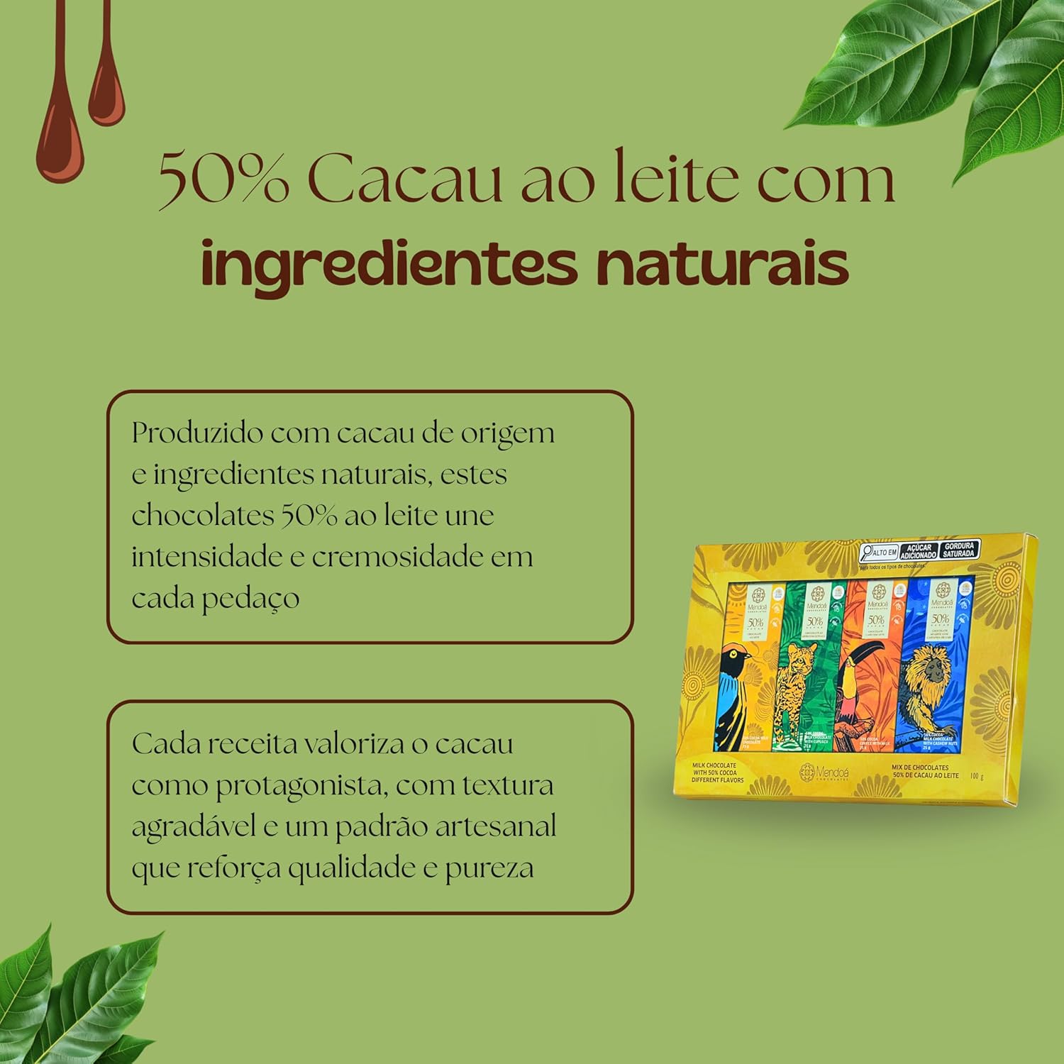 Caixa Presente Brasilis 4