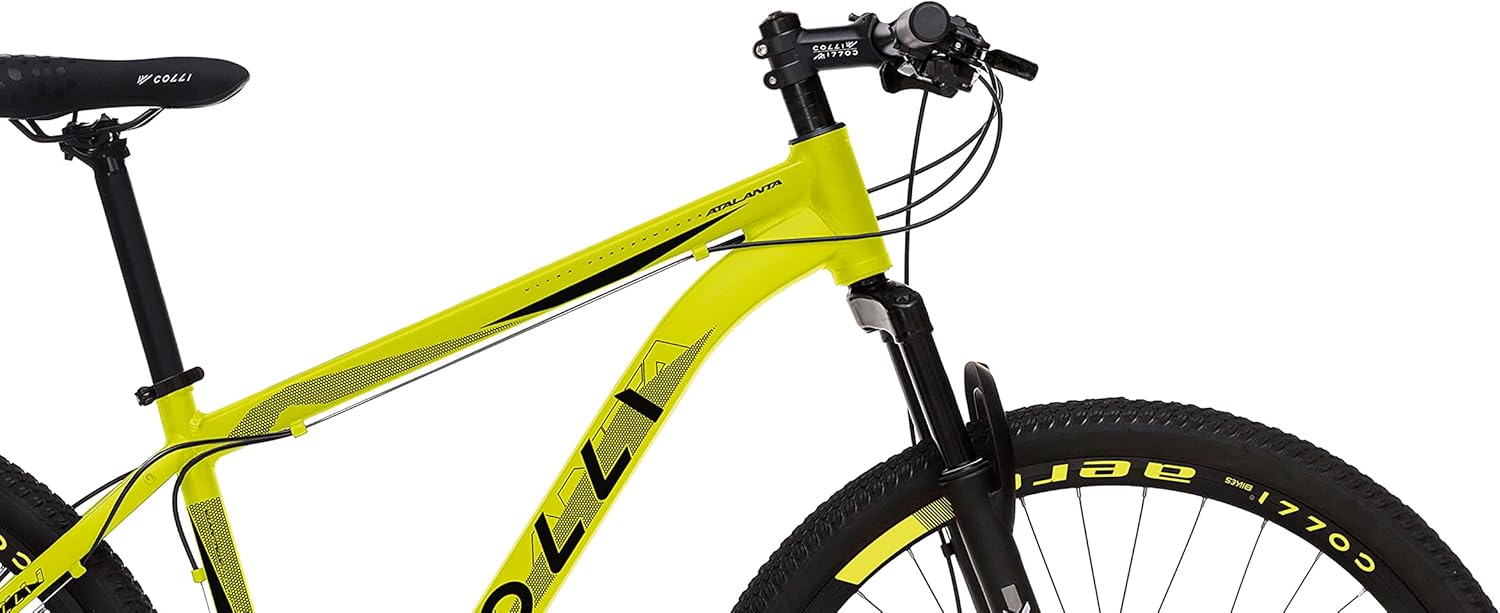 Bicicleta Colli Atalanta 3