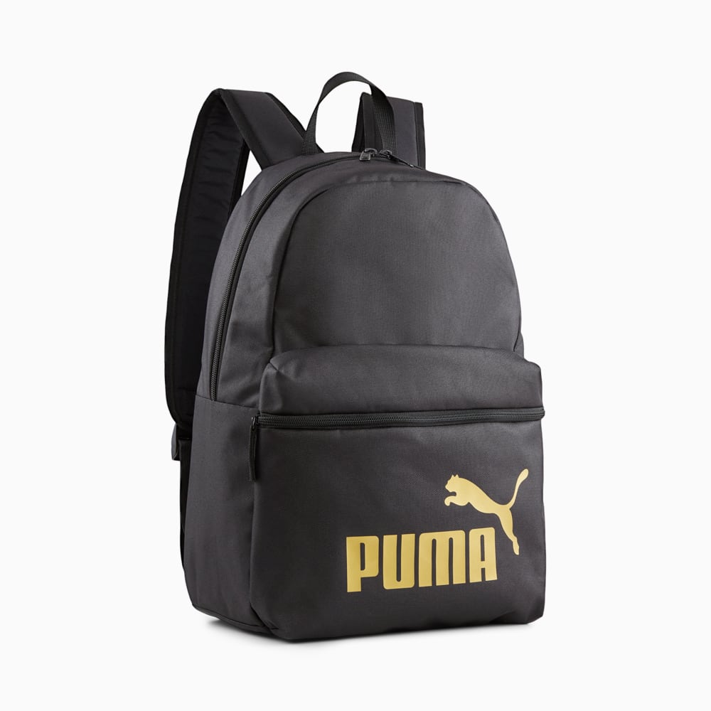 Puma 3