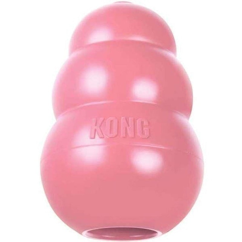 Brinquedo para Cães Filhotes Kong Puppy 1