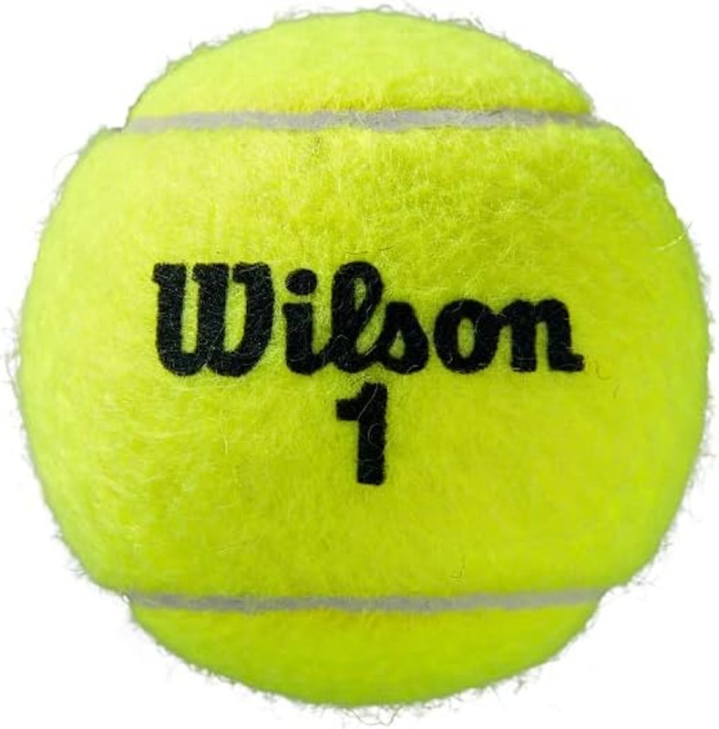 Bola de Tênis Roland Garros All Court 3
