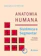 José Geraldo Dângelo e Carlo Américo Fattini Anatomia Humana Sistêmica e Segmentar 1