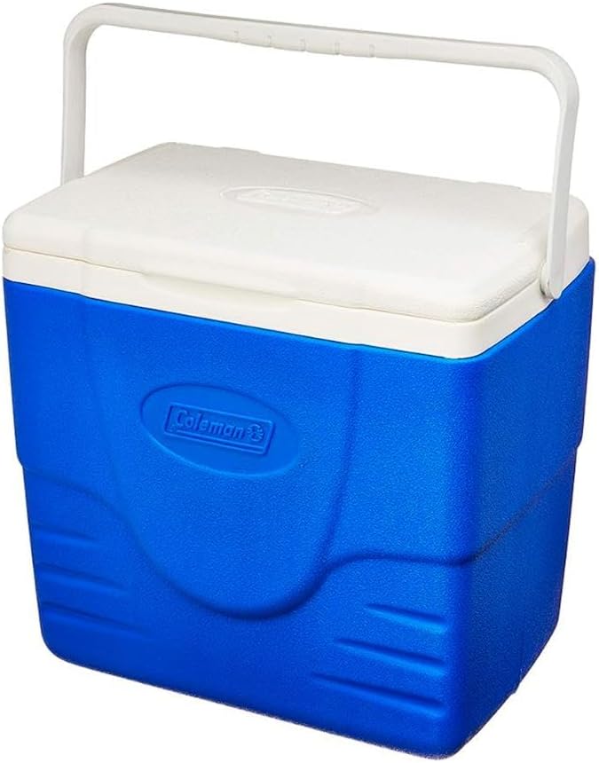 Caixa Térmica 15,1 L 3