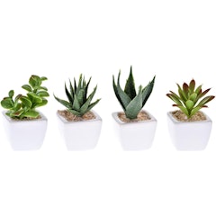 Kit Suculentas Artificiais Decorativas