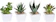 SHOPSUL Kit Suculentas Artificiais Decorativas 1