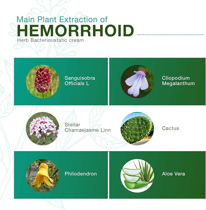 Reejoys Hemorrhoid Cream: Advanced Herbal Hemorrhoids 4