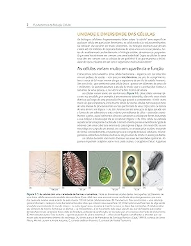 Fundamentos da Biologia Celular 4