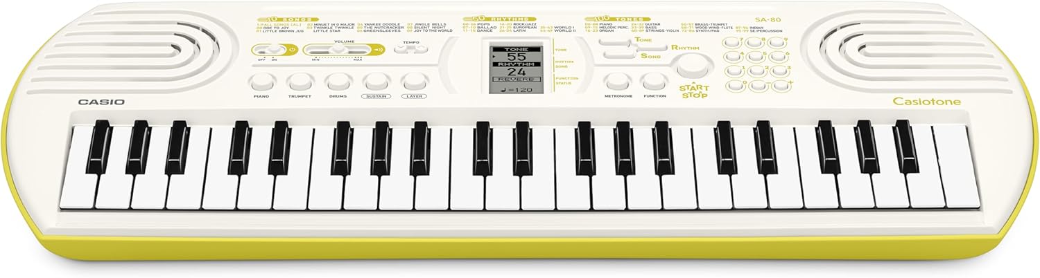 Teclado Eletrônico 44 Teclas Casio Casiotone 2