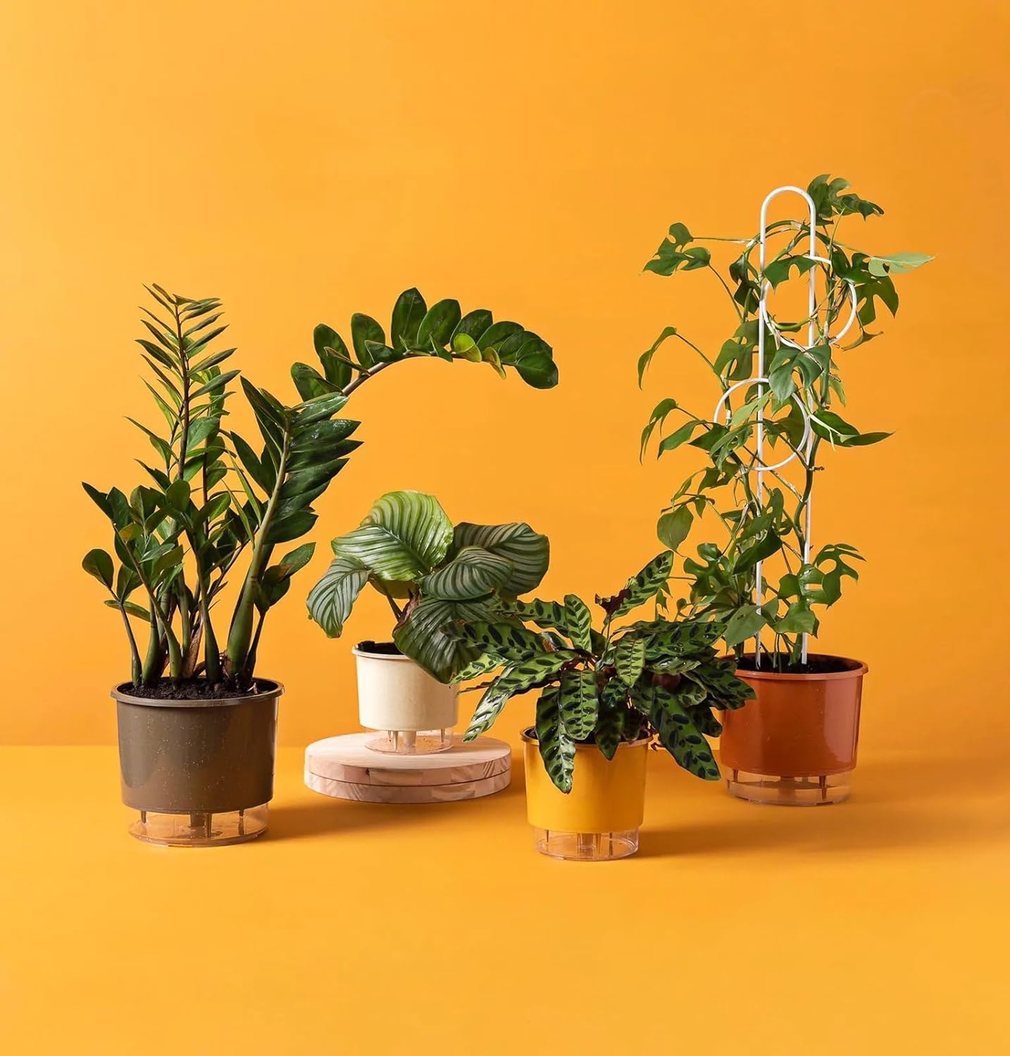 Vaso Autoirrigável Médio N03 16 x 14 cm - Terrazzo Calcário 3