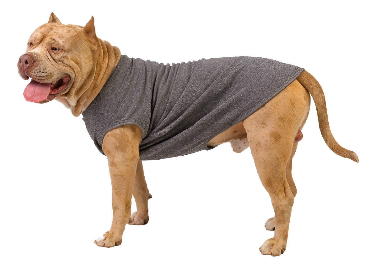 Roupa Pet Cães Porte Grande Grafite 1