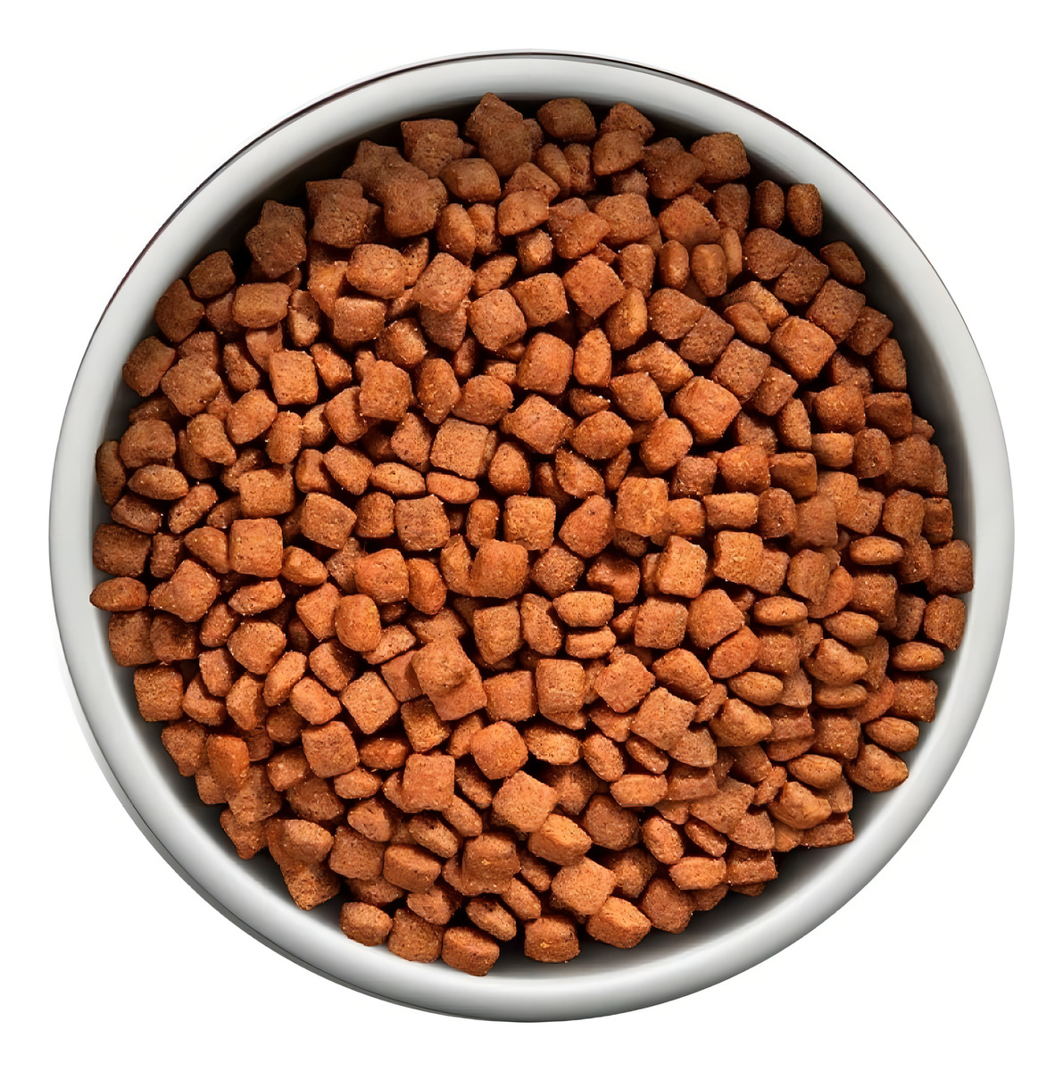 Ração Cão Sênior Mini e Pequeno Frango e Arroz Integral 2