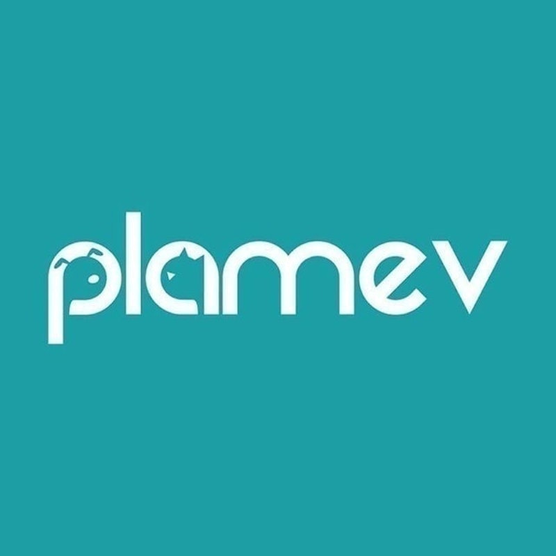 Plamev 1