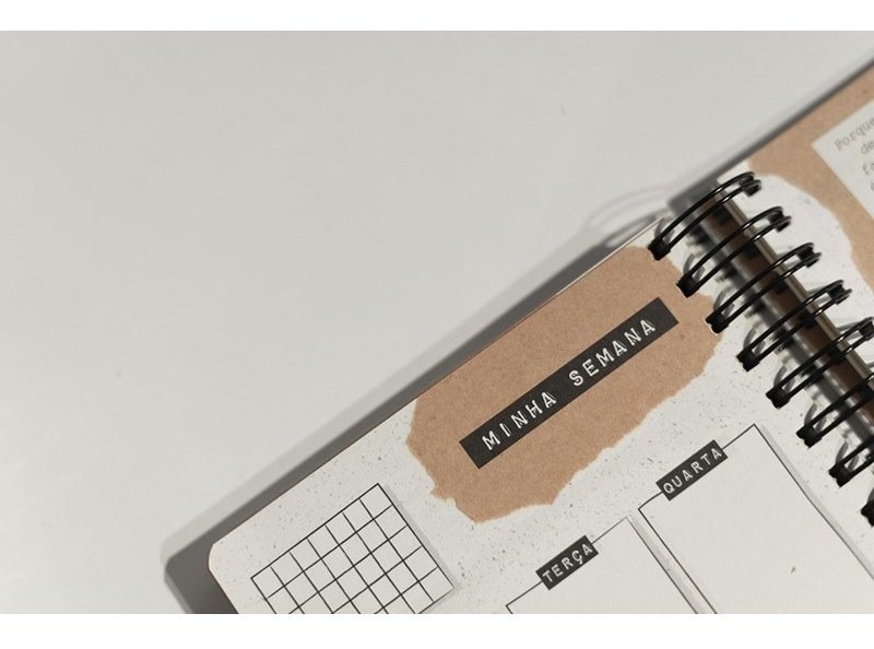 Planner Minha Jornada Artístico 4