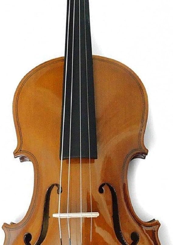 Violino 4/4 Especial Completo com Estojo 2