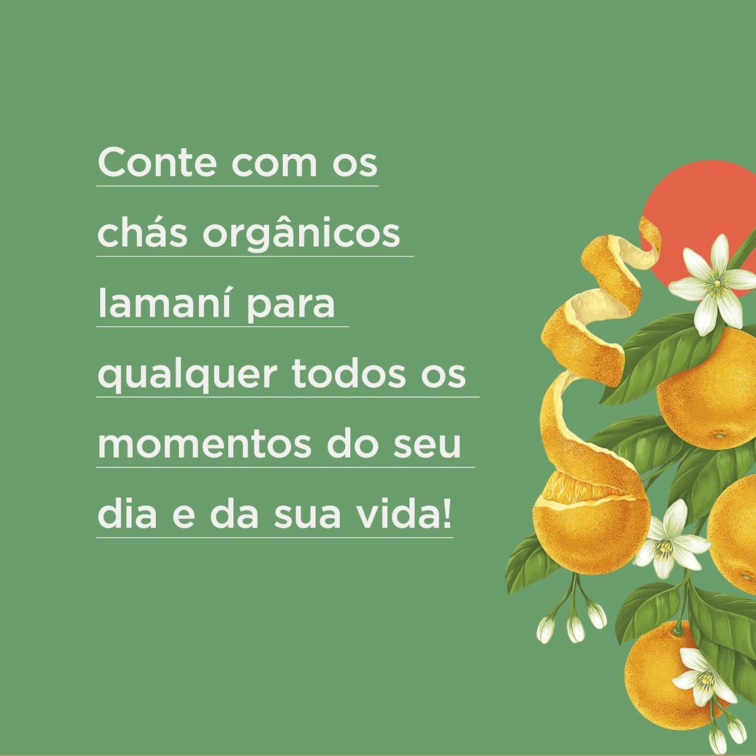 Chá Orgânico Super Imune 2