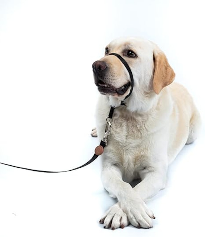 Coleira Cabresto para Cachorro 2