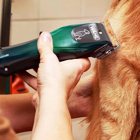 Máquina de Tosa Groomlite USB Bivolt 5
