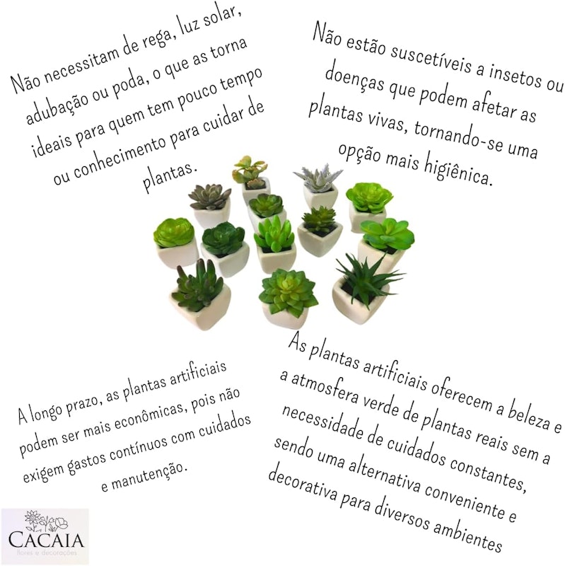 Conjunto com 6 Vasos de Cerâmica e Mini Suculentas Artificiais 2