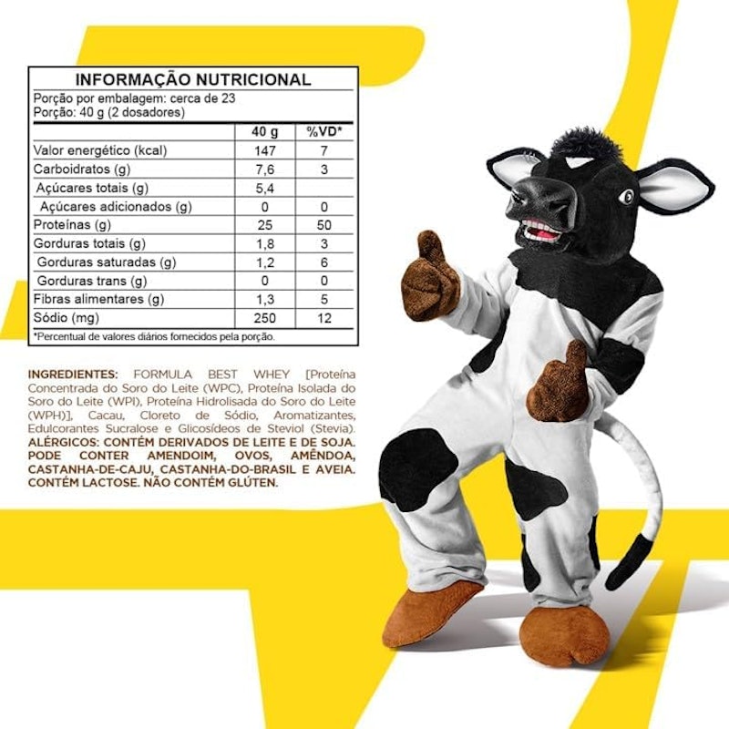 Best Whey Protein Achocolatado Toddy 2